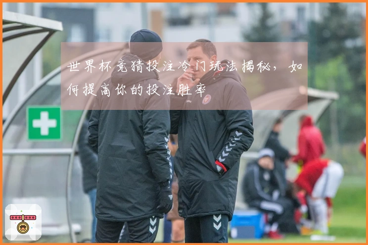 世界杯竞猜投注冷门玩法揭秘，如何提高你的投注胜率