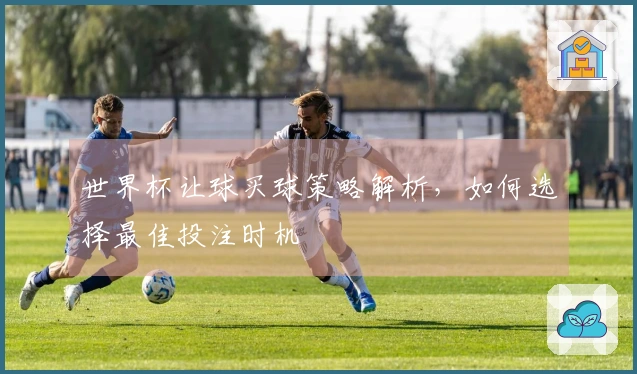 世界杯让球买球策略解析，如何选择最佳投注时机