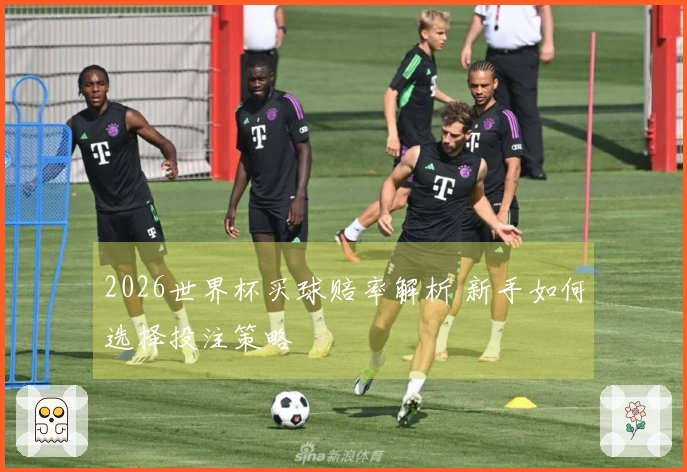 2026世界杯买球赔率解析 新手如何选择投注策略