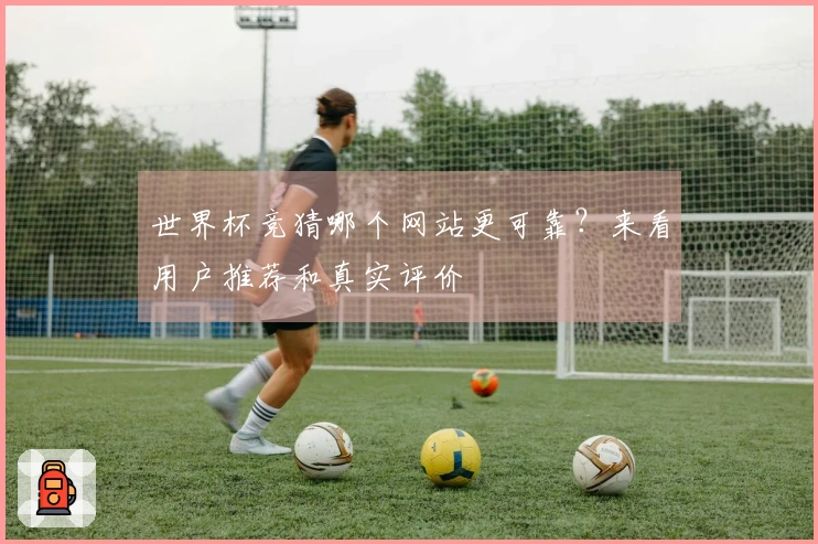 世界杯竞猜哪个网站更可靠？来看用户推荐和真实评价