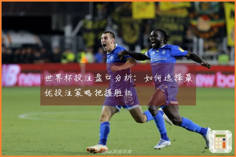 世界杯投注盘口分析：如何选择最优投注策略把握胜机