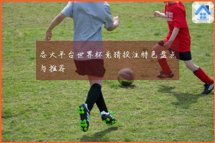 各大平台世界杯竞猜投注特色盘点与推荐