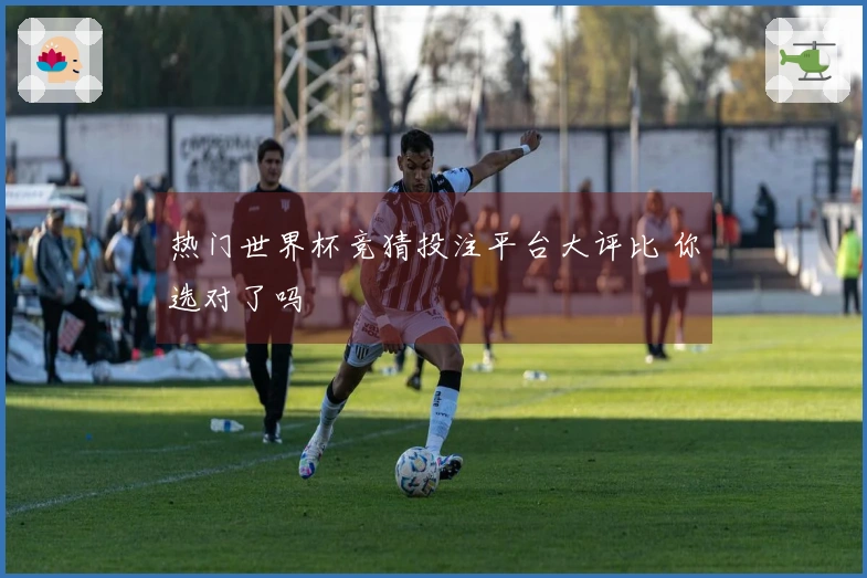 热门世界杯竞猜投注平台大评比 你选对了吗
