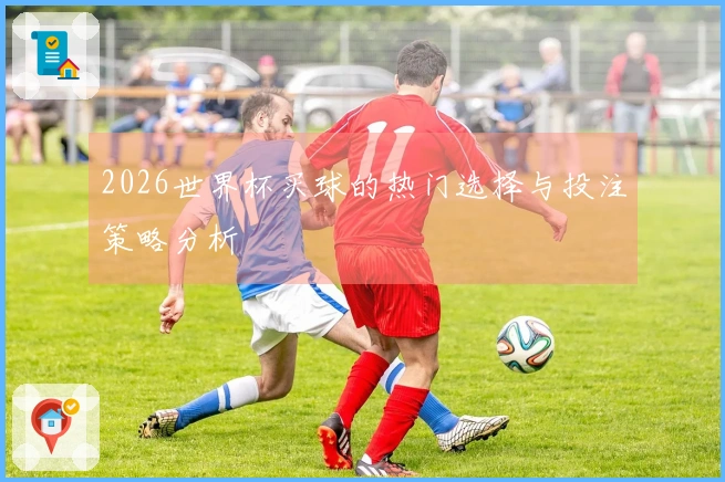 2026世界杯买球的热门选择与投注策略分析