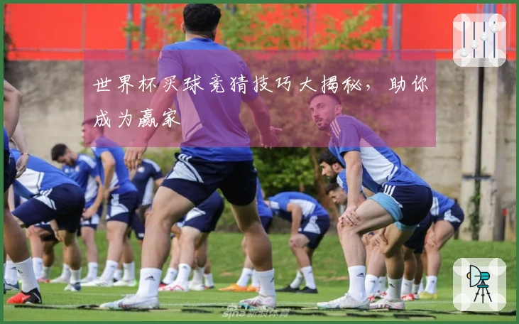 世界杯买球竞猜技巧大揭秘，助你成为赢家