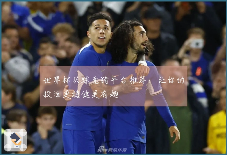 世界杯买球竞猜平台推荐，让你的投注更稳健更有趣
