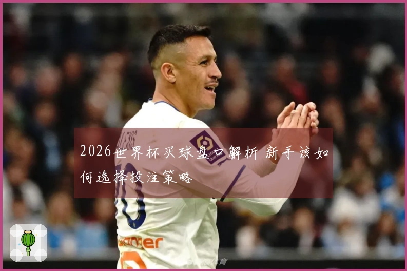2026世界杯买球盘口解析 新手该如何选择投注策略