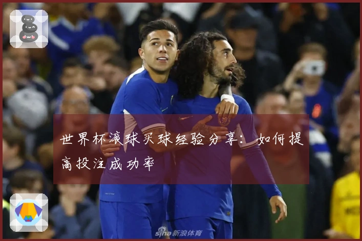 世界杯滚球买球经验分享：如何提高投注成功率