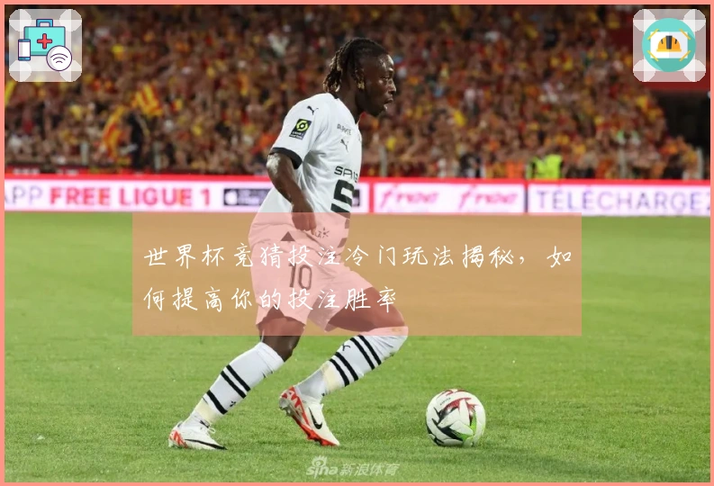 世界杯竞猜投注冷门玩法揭秘，如何提高你的投注胜率