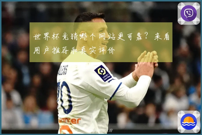 世界杯竞猜哪个网站更可靠？来看用户推荐和真实评价