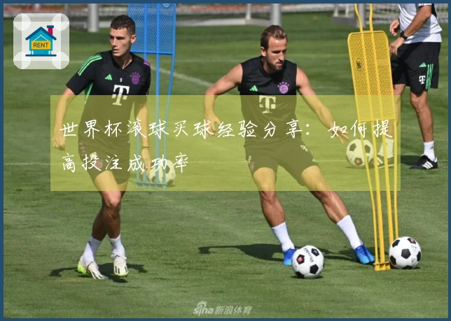 世界杯滚球买球经验分享：如何提高投注成功率
