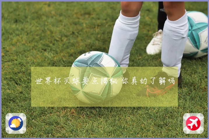 世界杯买球要点揭秘 你真的了解吗