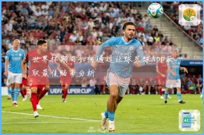世界杯期间如何通过让球买球App获取最佳赔率分析